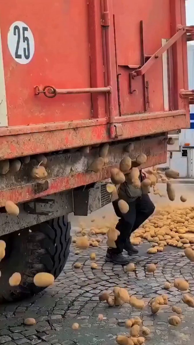 Francuski poljoprivrednici, kad se radikalizuju ! Sve što proizvedu, a nema kome da prodaju ( jer i njihovi krelci više brinu o poljoprivredi Maroka, Alžira, Tunisa... 🙄❗️Pred Skupštinu, najedite se !