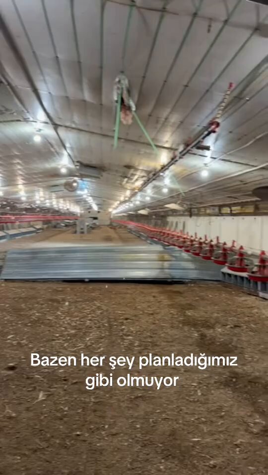 Tavuk çiftliği kurma sürecini sosyal medyada seri paylaşımlarla aktaran bir girişimci, yayınladığı son videoyla iflas ettiğini duyurdu. “Evet arkadaşlar biz battık, dükkanı kapatıyoruz. Tavukları da sattık gidiyorlar. Oğlun başaramadı anne.”