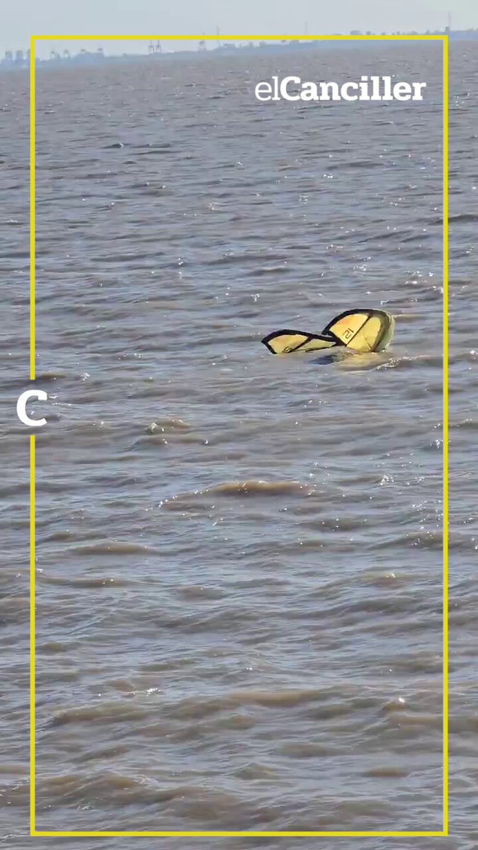 [AHORA] Barco de Colonia Express varado en el Río de la Plata: así son los objetos que aparecieron en el agua. 📹 Fedelo🇺🇾🇺🇾🇺🇾