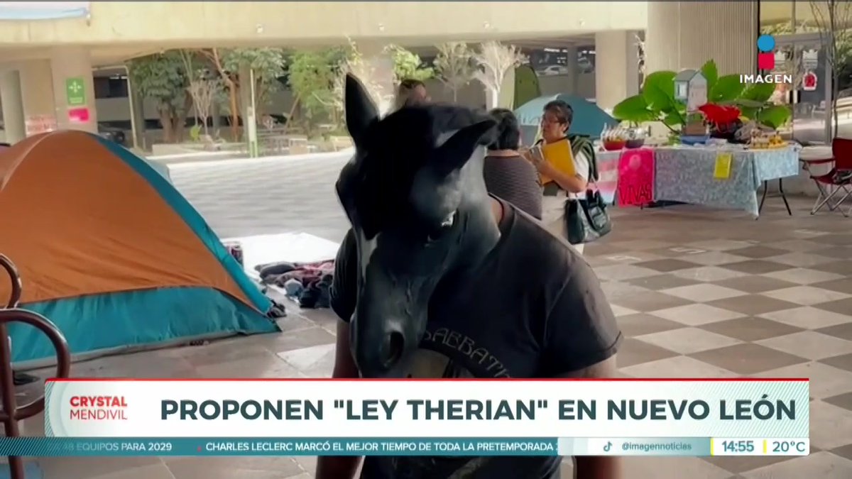 🇲🇽 | Un hombre que se identifica como caballo y su abogado presentaron la «Ley Therian» en Nuevo León, México.