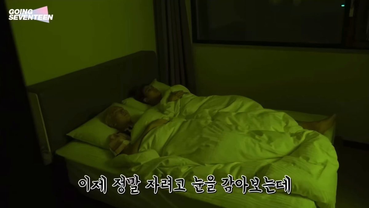 when mingyu and seungkwan were laughing so hard because they looked at each other, and their voices echoed into jeonghan and dk’s room 😭