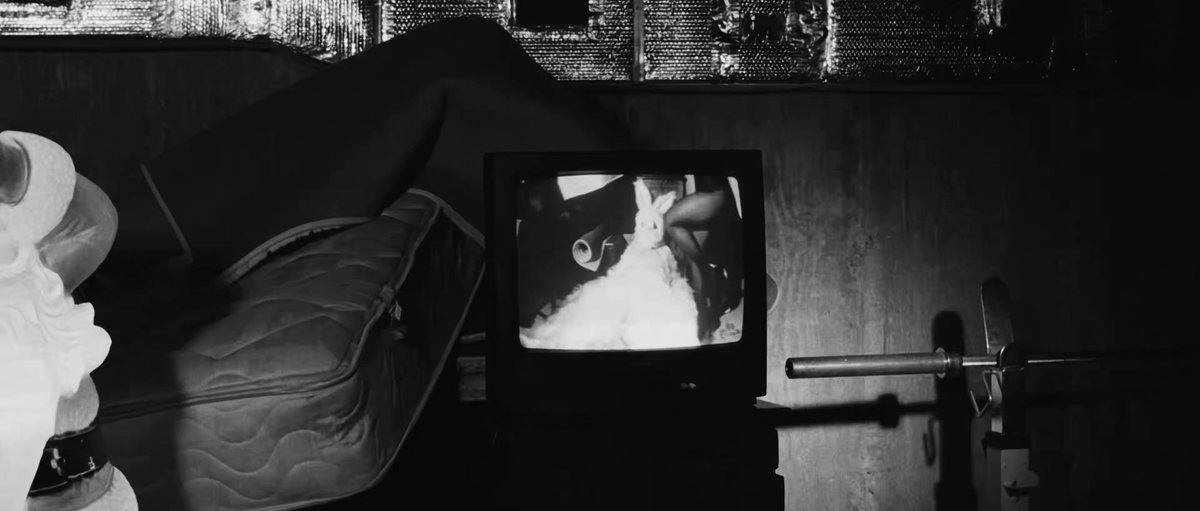 OLD TECHNOLOGY - NEW SINGLE - 2/24