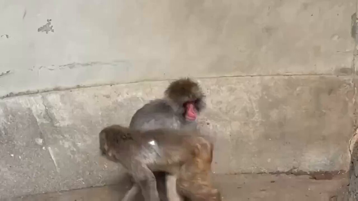 У малыша теперь есть защитник. И ни одна мразь его не обидит.