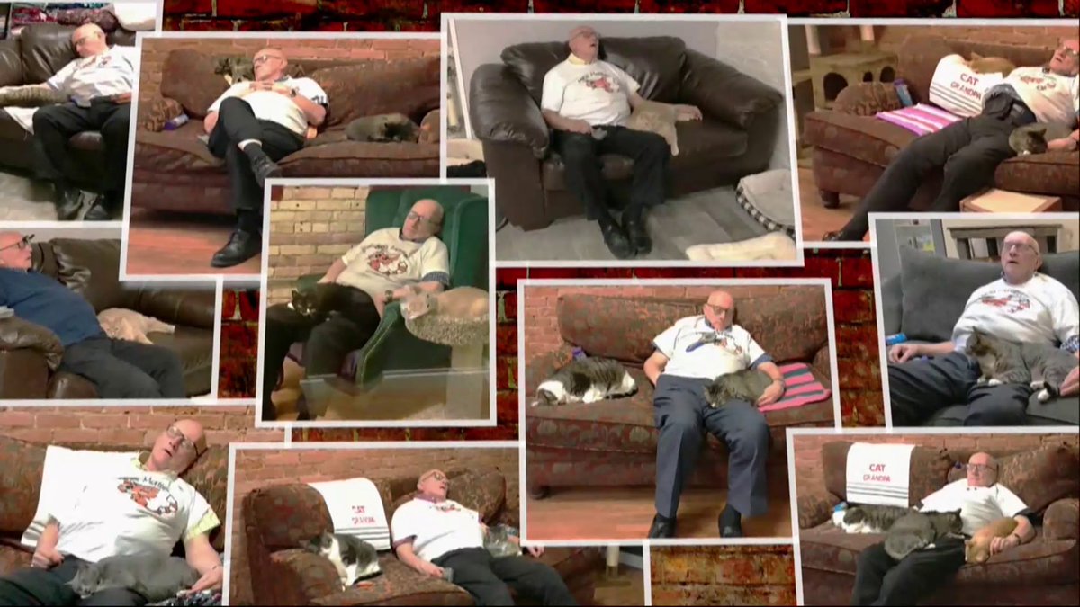 An 81-year-old volunteer at a Wisconsin cat sanctuary became an unlikely internet star simply by falling asleep. Now, his “catnaps” have helped transform the nonprofit. Steve Hartman is On the Road.