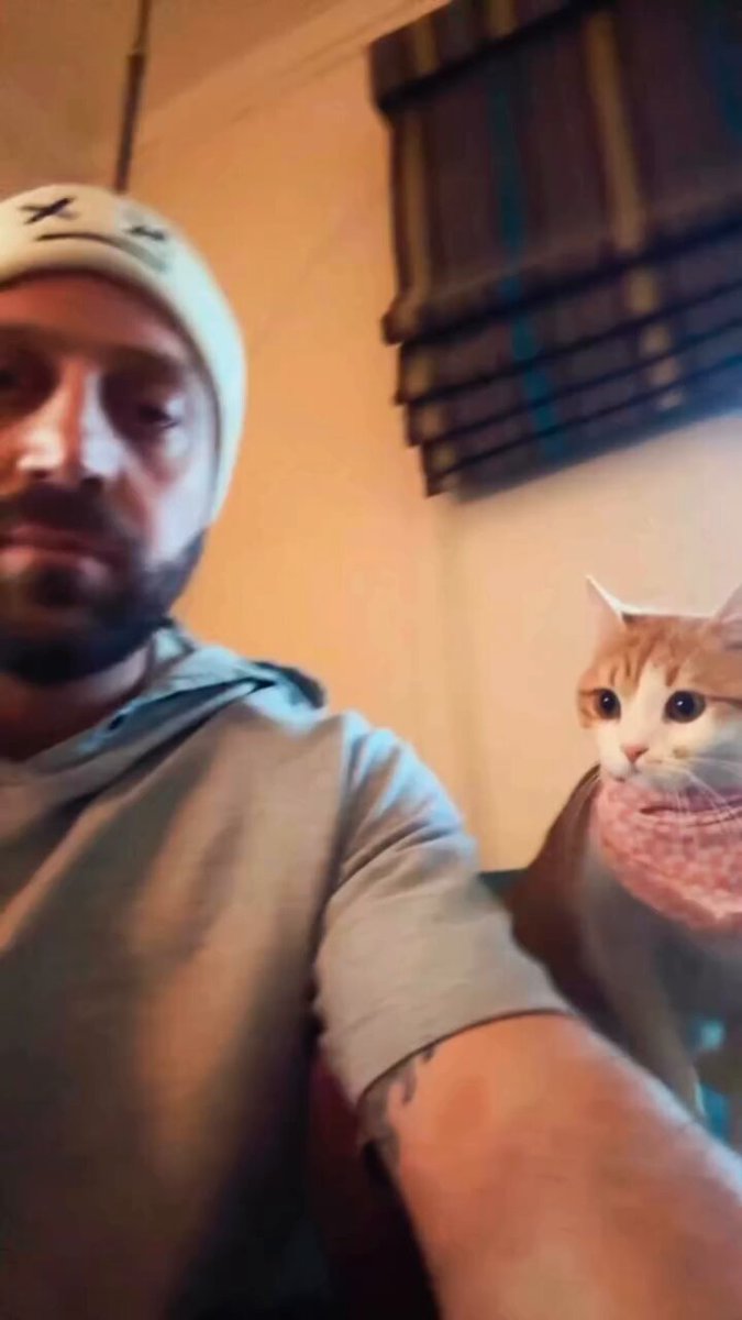POV: you have a girl cat 🥺
