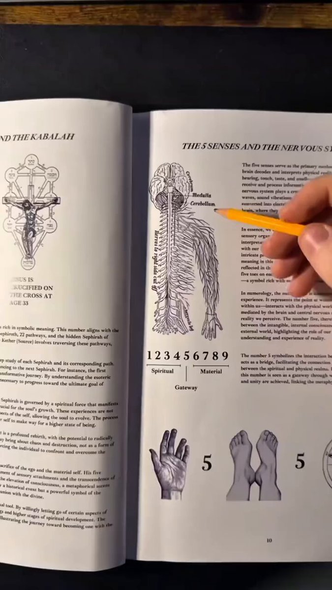 Reality Is A Simulation Produced By Your Nervous System. ~ Esoteric Teachings ✨🙌🏾💫
