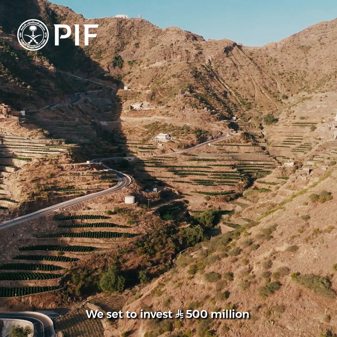 From farm to lab, الشركة السعودية للقهوة is leveraging innovation and heritage to redefine coffee for the world. Learn how it is uplifting local beans. Discover The PIF Effect