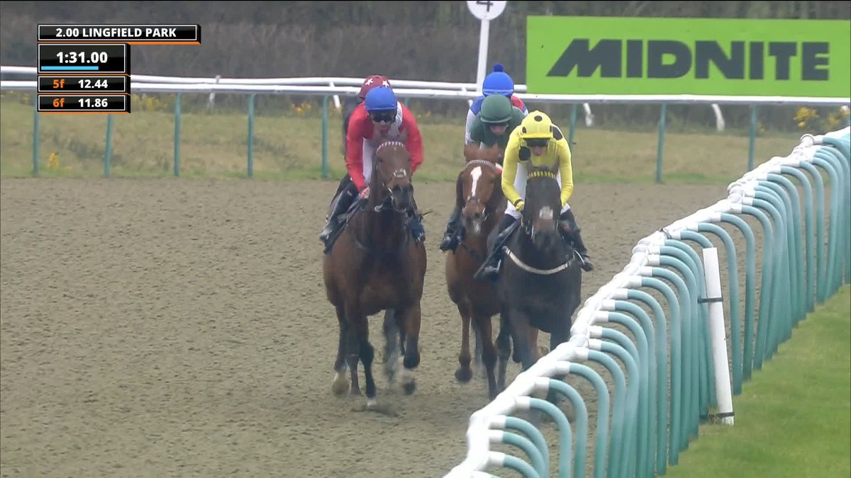 Amazing!🤩 Sky Safari wins the Midnite Winter Derby Stakes⚡️❄️ #ITVRacing | James Fanshawe