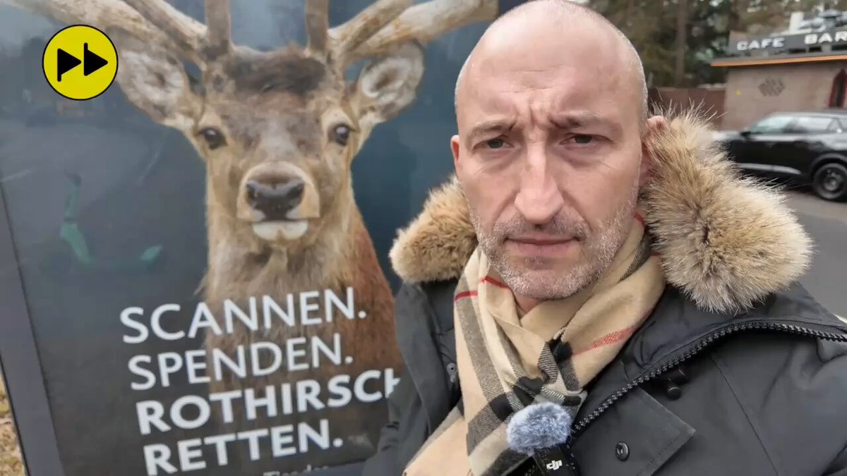 Rettet den Rothirsch, sonst seid Ihr Nazis! Alles muss gerettet werden! Immer! Denn alles ist bedroht! Immer! Und DU bist schuld! Verstehst Du nicht? Dann bist Du vermutlich auch ein Nazi