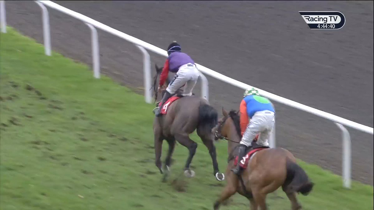 Fine Shot does it nicely in the colours of HM The King 👑