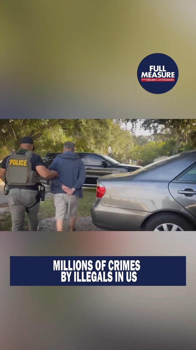 You might be surprised by how many violent crimes are linked to illegal immigrants. How to watch Full Measure Sunday.
