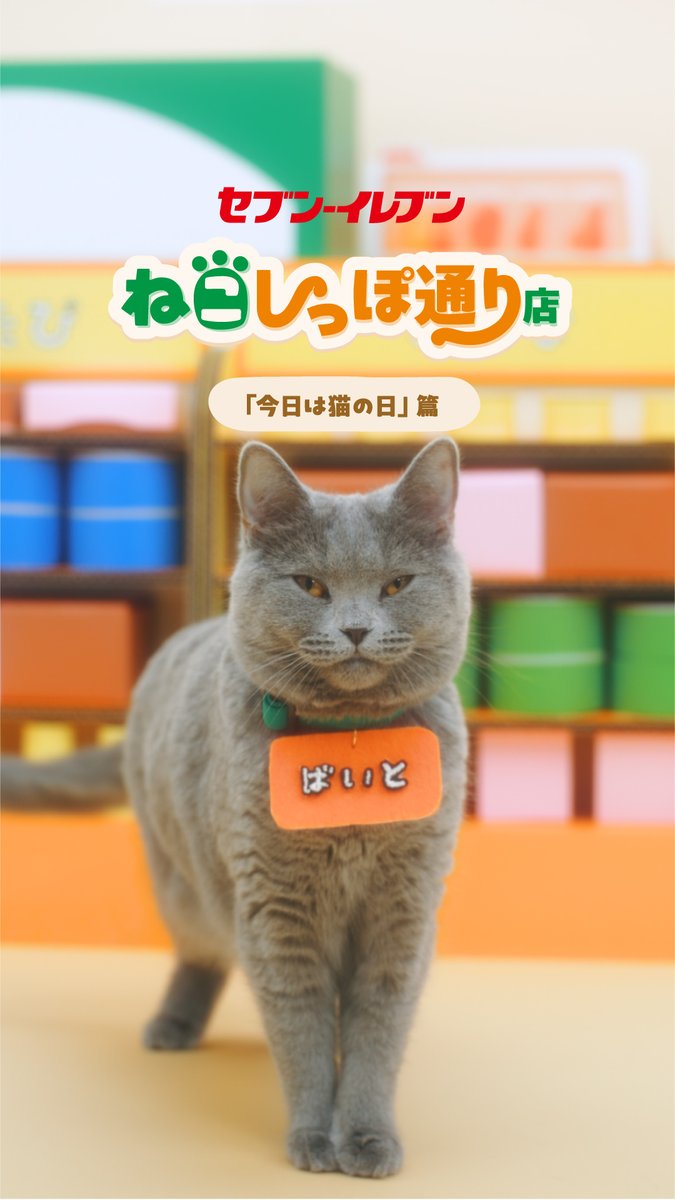 ╭━━━━━━━━━━━╮ ねこしっぽ通り店🐾 「今日は猫の日」篇 ╰ｖ━━━━━━━━━━╯ 🐈🐈 今日は猫の日😺🧡 猫たちの世界では一体どんな会話が...❓