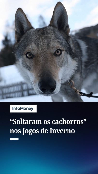 CONHEÇA O “LOBO” QUE BRILHOU NOS JOGOS DE INVERNO Quando a família Varesco saiu para assistir ao biatlo nos Jogos Olímpicos de Inverno na última quarta-feira, dia 18 de fevereiro, eles deixaram Nazgul, seu cachorro nada pequeno da raça cão-lobo checoslovaco de dois anos, trancado em sua casinha em casa, em Tesero. O que aconteceu depois disso entrou pra história dos Jogos de Milão-Cortina e tornou Nazgul uma estrela improvável. Isso porque após fugir de casa e vagar pela pista olímpica de neve, o cachorro disparou em meio à prova classificatória de esqui cross-country feminino. Conheça a história do cachorro que roubou a cena nos Jogos Olímpicos de Inverno! Vídeos: Reuters #Olimpiadas #MilãoCortina2026 #JogosdeInverno #Pets #Nazgul