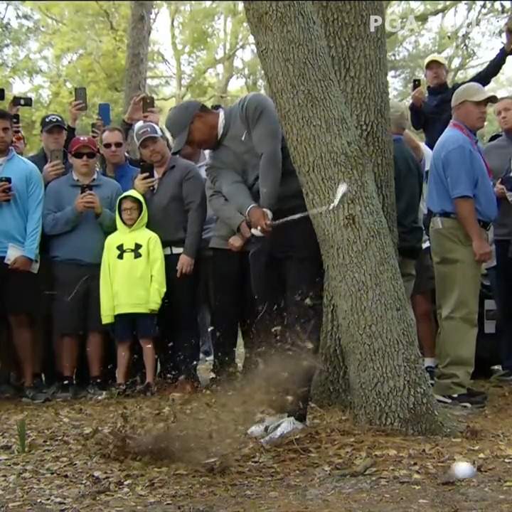 When Tiger Woods made an INCREDIBLE par from the trees at the 2018 Valspar 🐅 🪄