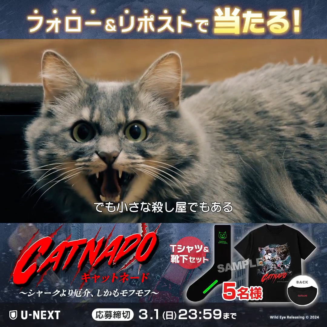 映画『キャットネード ~シャークより厄介、しかもモフモフ~』 U-NEXTで独占配信中💁♀️ 竜巻・ネコ映画界に超新星現る😾🌪️ 配信を記念してオリジナルグッズを 抽選で5名様にプレゼント 1⃣U-NEXT(ユーネクスト) をフォロー 2⃣本投稿をリポスト ✅3/1(日) CP規約: #猫の日