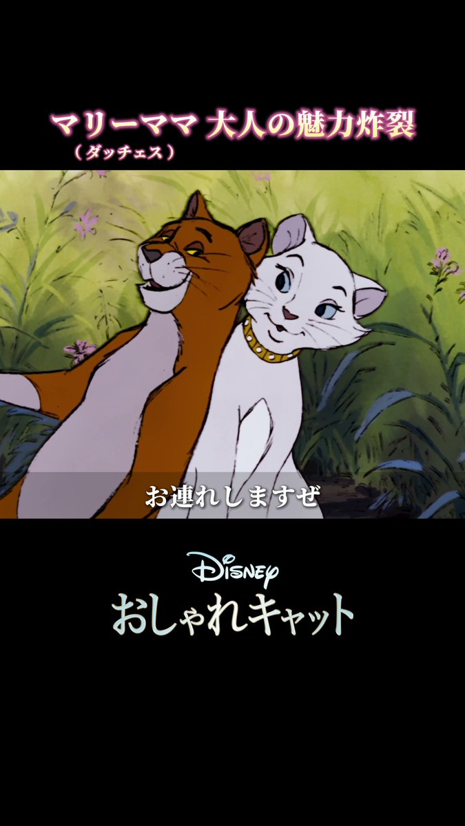 ⸜⸜ にゃんにゃんにゃん ⸝⸝ 2月22日は #猫の日🐱 そして #ディズニーマリーの日🎀 美しく気品のあるダッチェス🐈と 自由な野良ネコ トーマス・オマリー😼 正反対な2匹の出会いは…? 猫の日にちなんで あなたの推しにゃんこも教えてね🐾 #おしゃれキャット #ディズニープラス で配信中🐱🎶