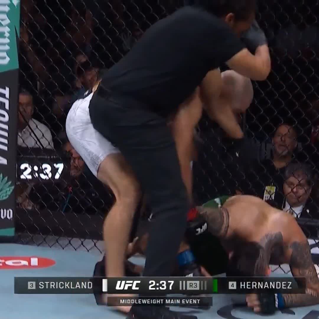 3位 ストリックランドが4位 ヘルナンデスに3RKO勝ち! #UFC