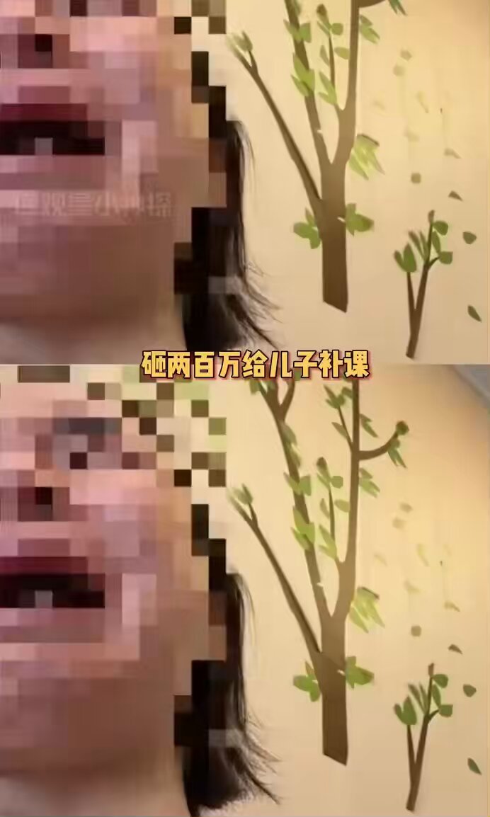 投入的是黄金，漏出来的是残渣，妈妈没有工作，把全部希望寄托在 200 万的课时费里，却忘了前额叶的理性不是靠钞票就能开光的。