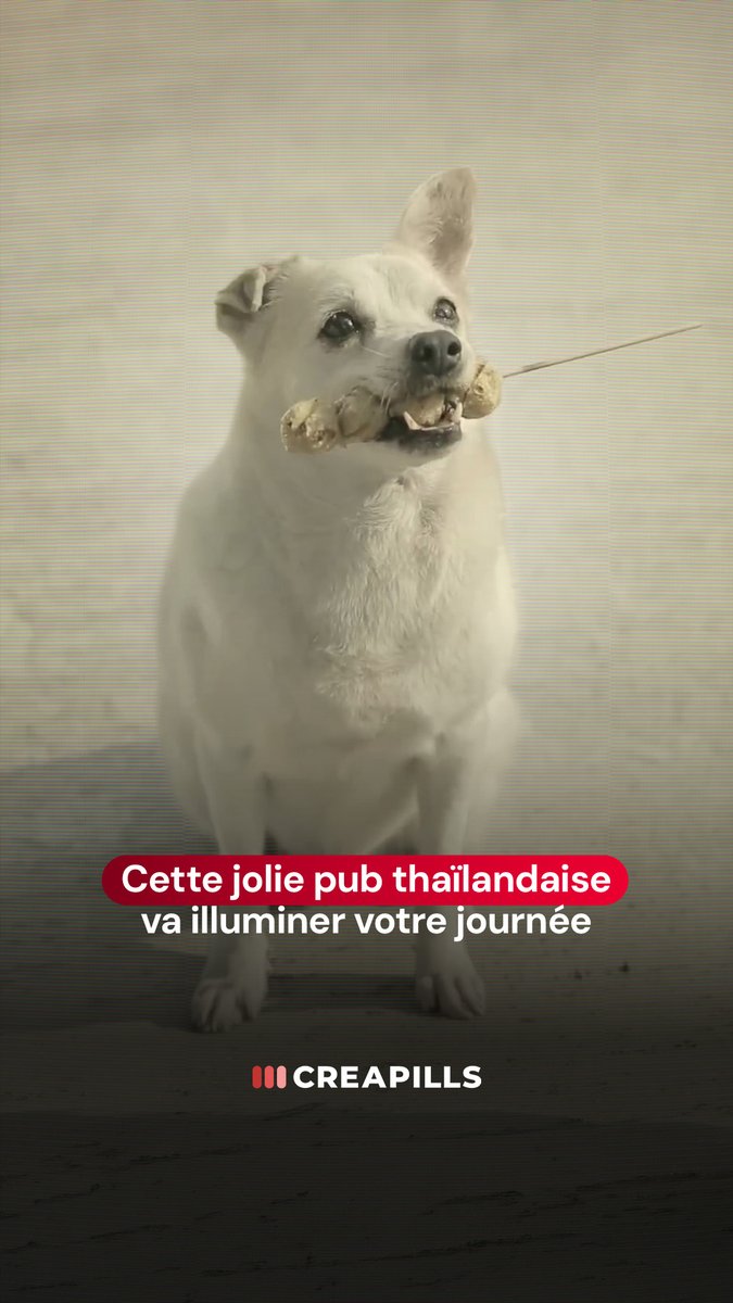 Tout le monde a besoin d’avoir un ami comme lui 😍