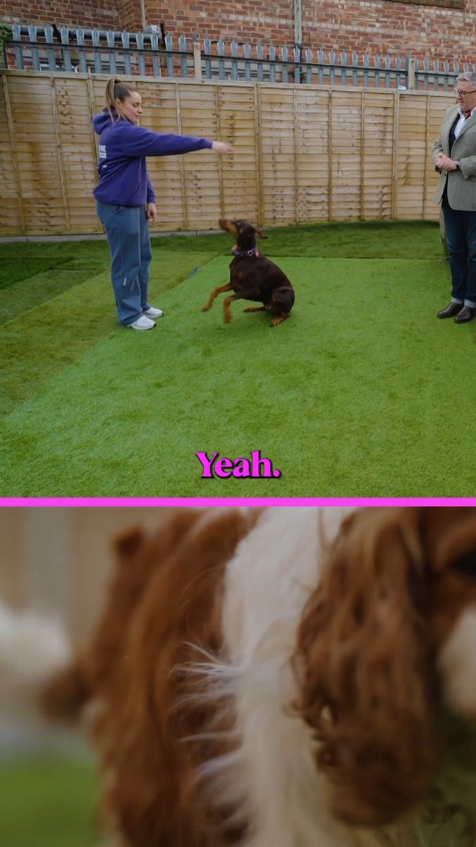 Ella Toone surprised her Man United teammates and dog lovers Maya Le Tissier and Millie Turner as they get the opportunity to work at a Doggy Day Care under the supervision of acclaimed dog trainer Graeme Hall 🐶❤️ The full 'Ella Toone Away Days' episode is now live on our YouTube!