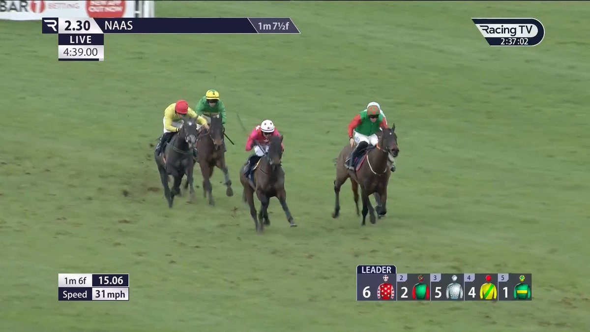 🛒 Kenny Alexander doing his shopping: Are they French? ✅ Are they a Filly? ✅ Are they completely mad? ✅ Are they top class? ✅ 🩵 MAJOLIQUE is the latest off of the conveyor belt. I am in love again.