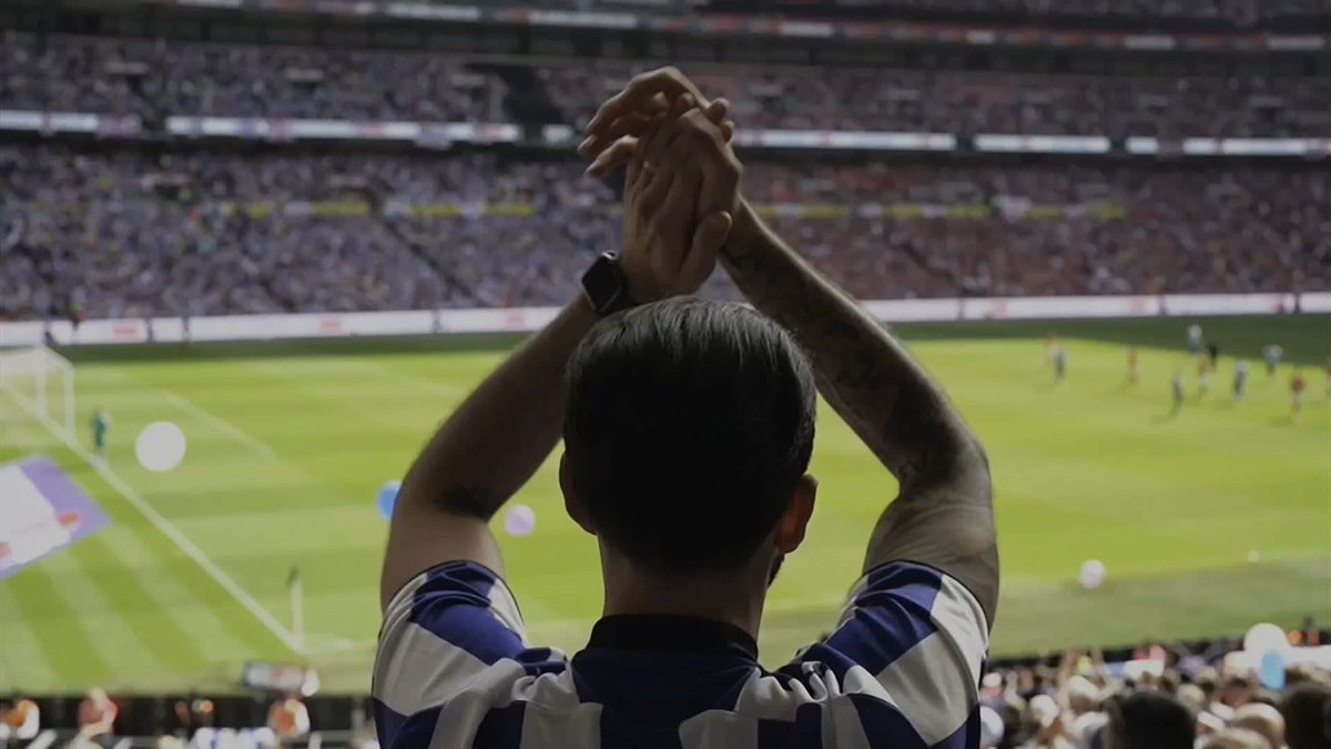 "Sheffield Wednesday fall, but they will rise again" 📈