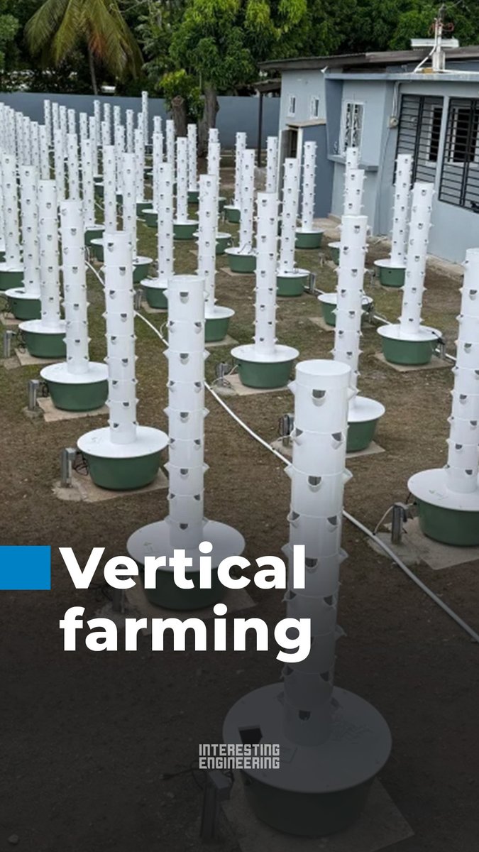 Vertical farming is a 21st century way of maximizing agricultural output in a small space. It uses cutting-edge technology like aeroponic towers as as-needed watering systems. That lets people grow food for their own use and for sale in much smaller "farms