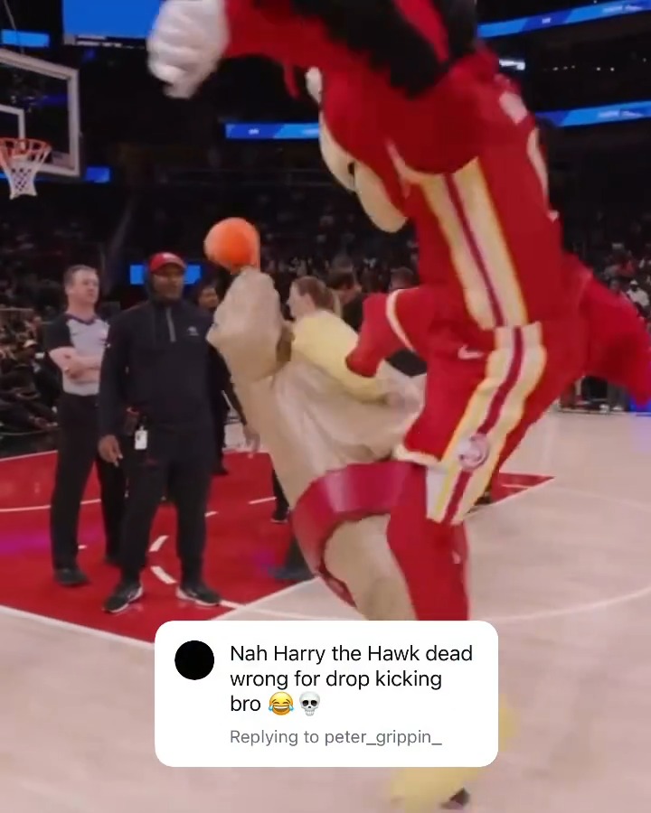 No chill 😭😭😭 Harry The Hawk