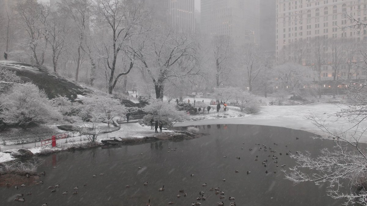 There’s no better winter wonderland than Central Park! You can help our Conservancy crews by respecting closures, making space for our staff and steering clear of snowplows, and avoiding walking on frozen water bodies, untreated pathways, and under trees. Stay warm and safe! 💚
