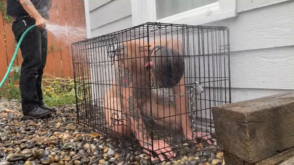 Master will always keep you clean, even while you are caged 🔒 the cold water will make you feel like the pet that you are. Don't struggle, accept your new life, and you'll start enjoying it when Master says that you are such a GOOD BOY 🥵