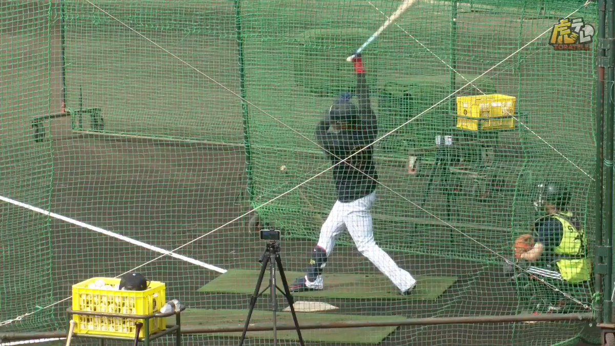 【宜野座】 昨日のOP戦では適時打を放った木浪選手！精力的にバットを振り込みます！ 虎テレでは春季キャンプをライブ配信