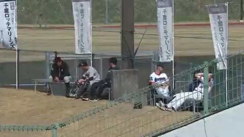 ひなたぼっこ笑⁉☀️⛱️ #chibalotte 👇ライブ配信はこちら