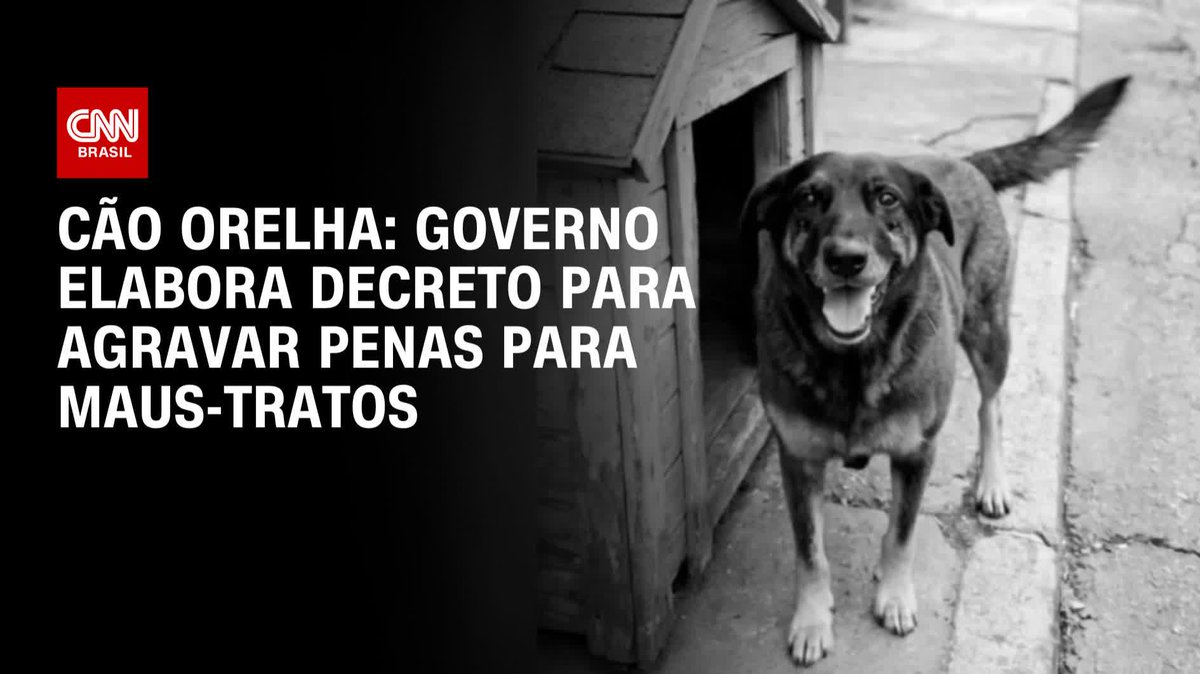 Cão Orelha: Governo elabora decreto para agravar penas; assista #CNNNovoDia