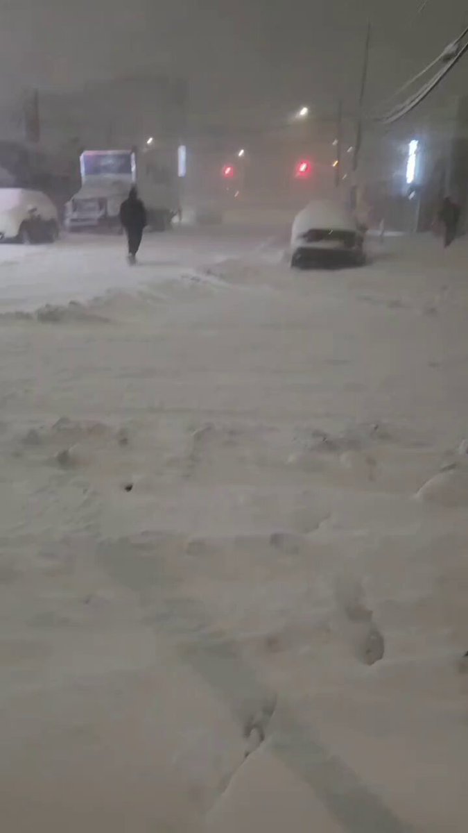 🇺🇸 | Nevada en Queens, New York: