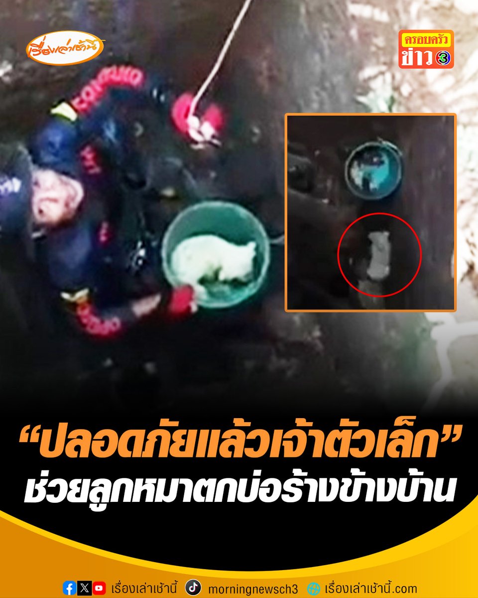 ปลอดภัยแล้วนะเจ้าตัวเล็ก กู้ภัยฯช่วยลูกหมาสีขาวตกบ่อร้าง ส่งเสียงโหยหวนขอความช่วยเหลือ #เรื่องเล่าเช้านี้ #ครอบครัวข่าว3 #ข่าวภูมิภาค #นครศรีธรรมราช