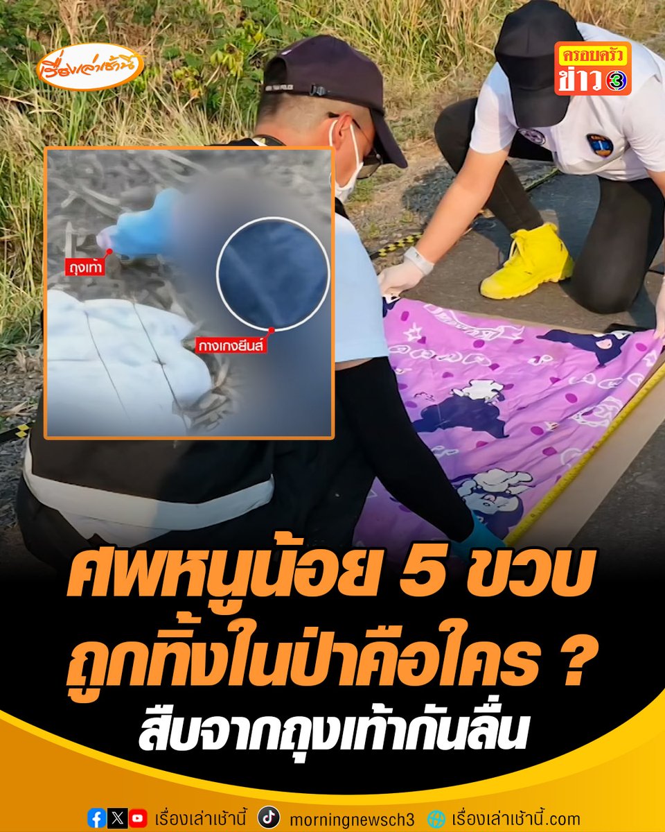 ตั้งรางวัลผู้แจ้งเบาะเเส 1 หมื่นบาท หลังพบศพหนูน้อย 5 ขวบ ถูกทิ้งในป่าอ.หนองโดน จ.สระบุรี เร่งสืบจากถุงเท้ากันลื่นว่าคือใคร คาดน่าจะเสียชีวิตไม่ต่ำกว่า 1 เดือน #เรื่องเล่าเช้านี้ #ครอบครัวข่าว3 #ข่าวสังคม #สระบุรี