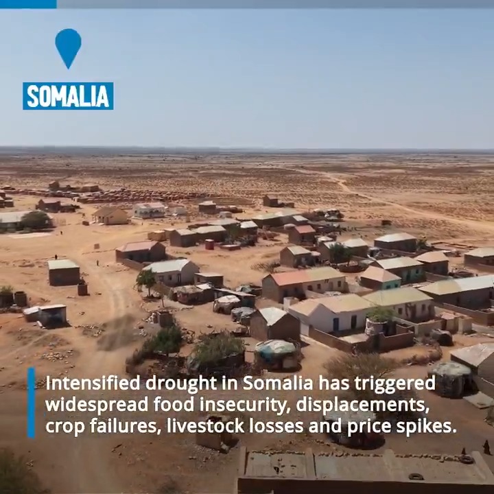 🆘 Somalia is on the brink of a major humanitarian emergency. ▪️A new report projects 6.5 million people face crisis levels of hunger or worse by March - driven by a national drought emergency. ▪️Without immediate new funding, WFP’s assistance will be almost completely exhausted by April.