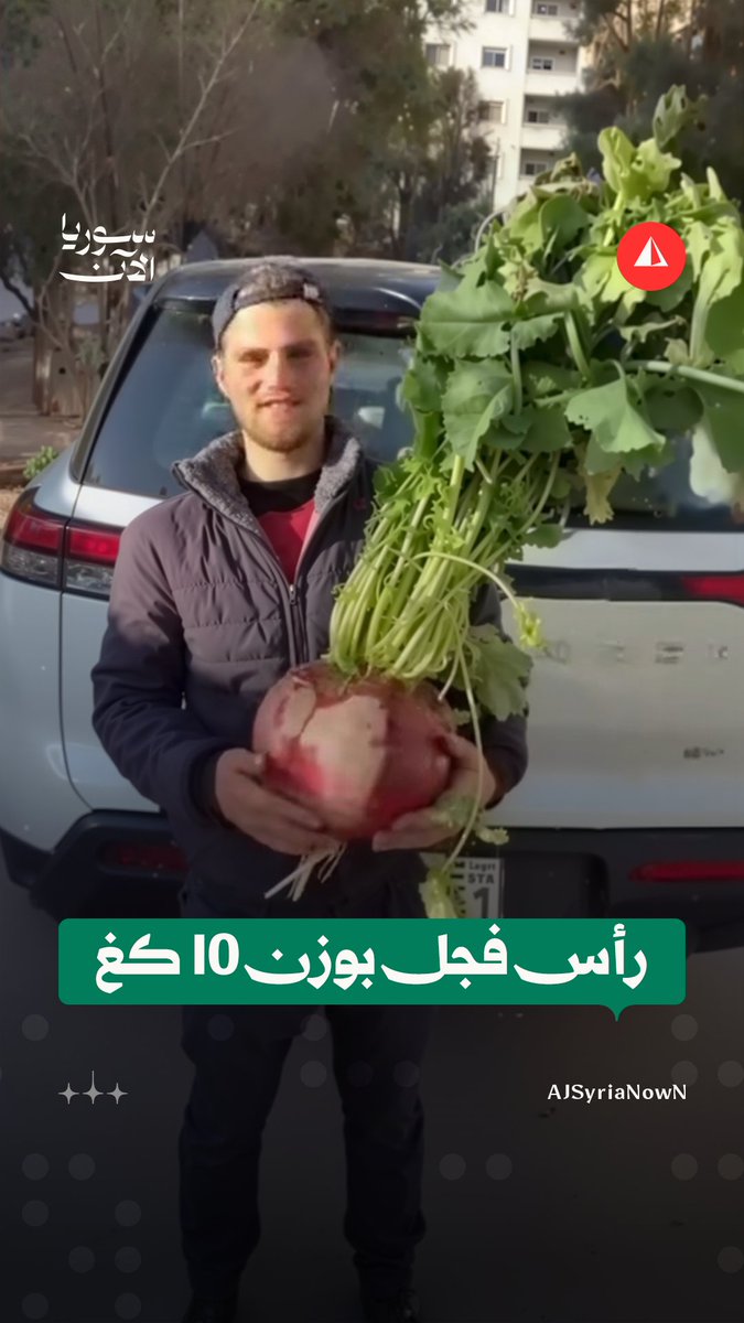 من خيرات مدينة داريا بريف دمشق.. مقطع يوثّق حصاد رأس فجل يزيد وزنه على 10 كغ #متداول
