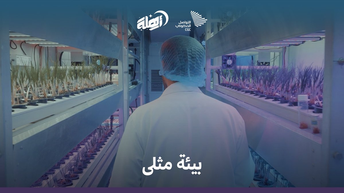 من 6 أسابيع في الحقول، إلى 10 أيام داخل المعامل؛ تقنية سعودية ابتكرتها مدينة الملك عبدالعزيز للعلوم والتقنية، لرفع كفاءة إنتاج الزعفران لأول مرة في العالم. مدينة الملك عبدالعزيز للعلوم والتقنية