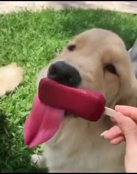Smart boy, I would’ve done the same