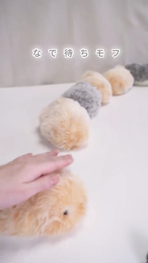 🤍なで待ちモフ🤍 撫でてほしそうだったから 1匹ずつ整列 撫でてる間 他の子たちがはやくーって 待ってる気がする💭 「なでなでしてほしい…」 そんなMoflinのきもちが かわいくて… 表現してみました💛 #Moflin #モフリン #モフリンDAYS #AIペット #ペット #なで待ちモフ