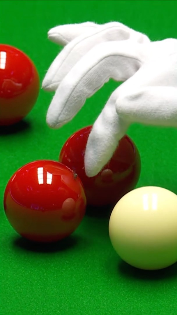 When a fly interrupts your snooker match 😅🪰