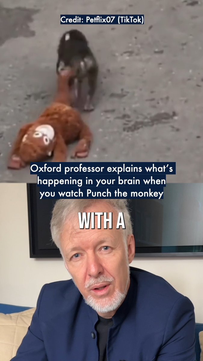 'This story reminds us of what it is to be human.' Morten Kringelbach, Professor of Neuroscience at Linacre College and the Department of Psychiatry, explains what’s happening in your brain when you watch Punch the Monkey 🐵