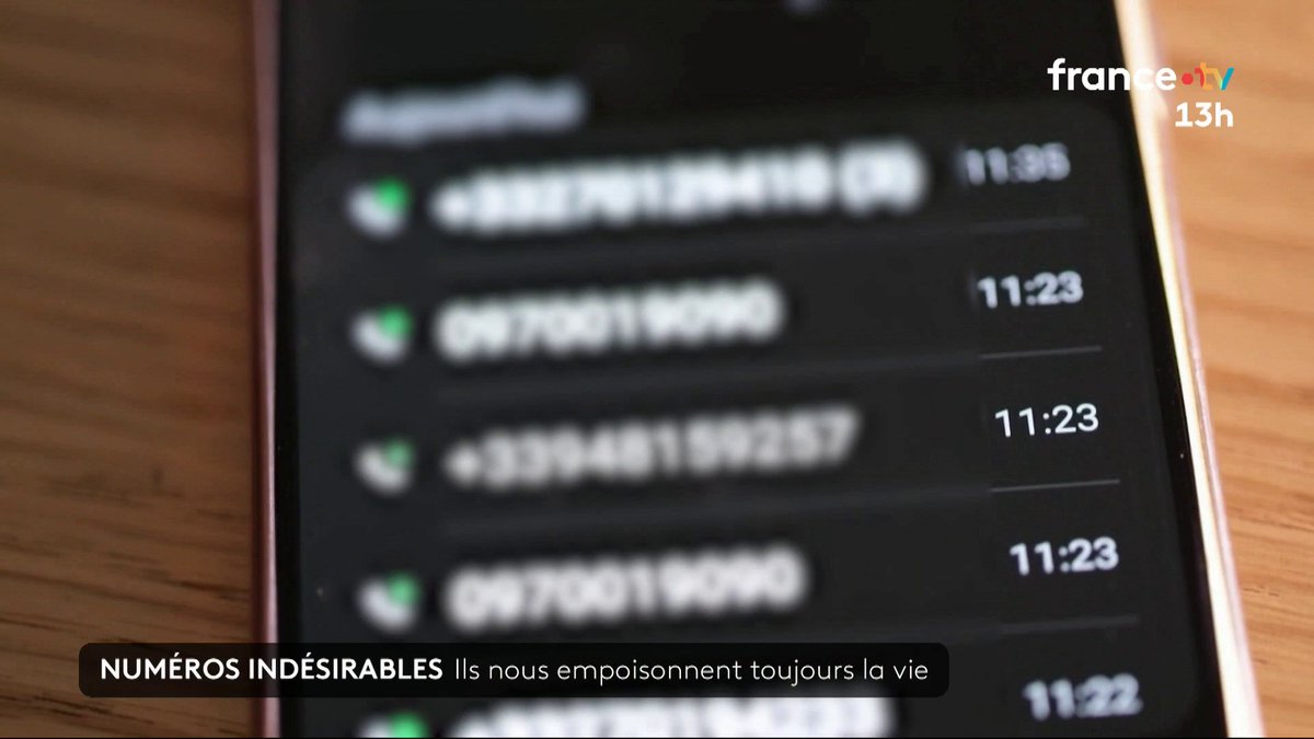Le casse-tête des numéros indésirables : appels frauduleux, démarchage, usurpation… À partir d’août 2026, le démarchage téléphonique sera totalement interdit par la loi, sauf en cas d'accord préalable. #JT13H