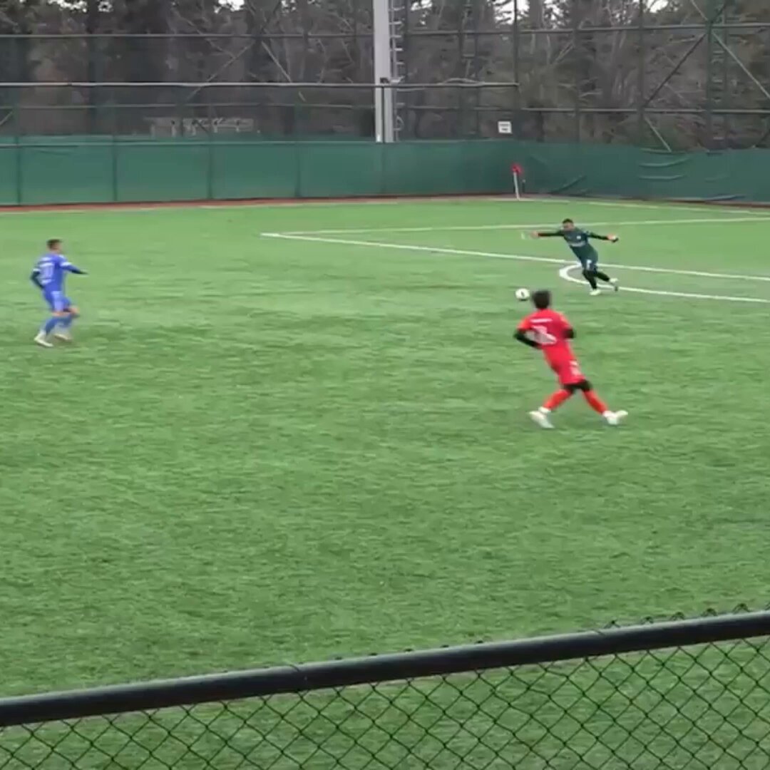 NEW: Turkish soccer player performs CPR on a seagull after it was hit by a ball kicked by the goalkeeper. Concerned players were seen rushing to the bird before one started performing CPR. "It was a reflex reaction," said captain Gani Catan. "Something was falling, and I realised it was a seagull. The first thing that came to my mind was heart massage, because it couldn't breathe, so I tried my luck. We missed the championship, but saving a life was more important." According to local reports, the recovery effort was successful.