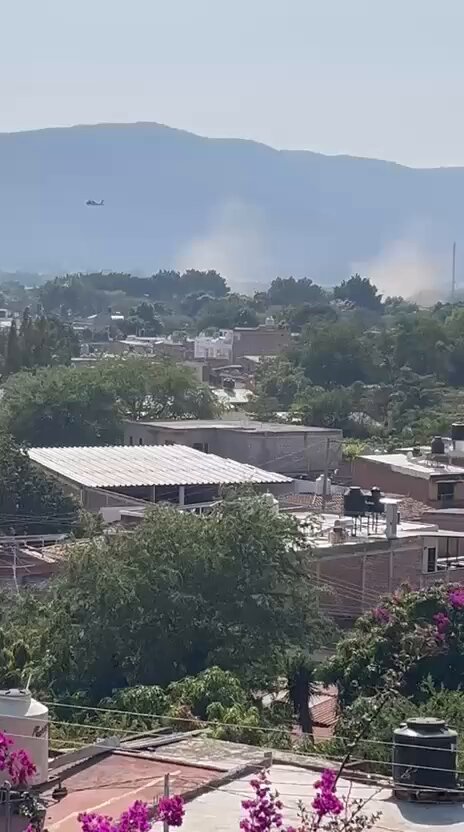 El Tuli ofreció 20 mil pesos a los Sicarios del CJNG por cada militar muerto, comenzaron las emboscadas y muerte de Elementos, la SEDENA no espero, ubicó inmediatamente al Tuli en El Grullo, Jalisco y envió los Helicópteros Artillados dándolo de baja