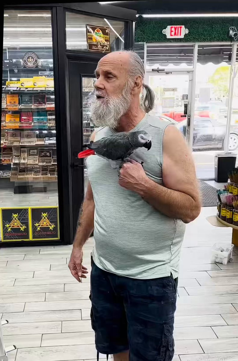 oh that bird LOVES him omfg😭🥹