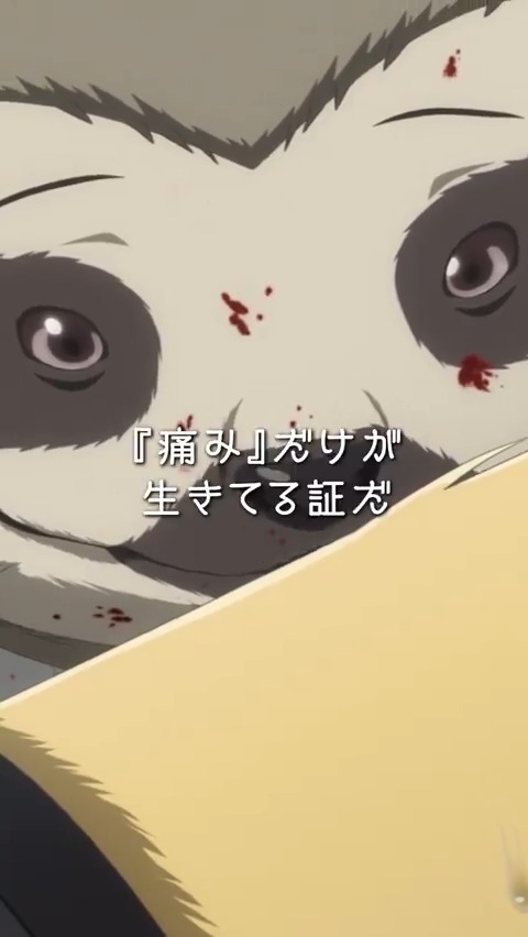◤◢◤◢◤◢◤◢◤◢◤◢◤◢◤◢ アニメ『#BEASTARS』シリーズ プレイバック🎥 ◤◢◤◢◤◢◤◢◤◢◤◢◤◢◤◢ 「痛みだけが生きている証だ」 『BEASTARS FINAL SEASON』Part1は Netflix独占配信中🎥 完結作となるPart2は3月7日 Netflixにて独占配信✨ #bstanime