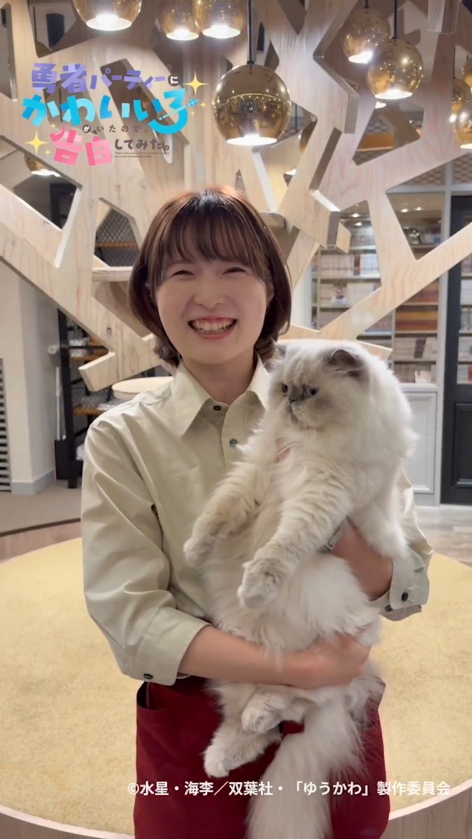 /／ 猫カフェ MOCHA🐈 全国36店舗でコラボ開催🩵 \ ＼ ねこさん達による「YES！サマーラブ♡」をお届け💘 コラボ期間中は #ゆうかわ のコミックスも各店舗で読めちゃう✨ ぜひ遊びに来てくださいね 開催期間：3月1日(日)～3月31日(火) ▼店舗一覧
