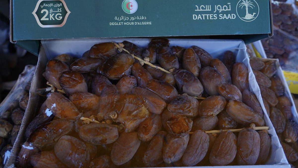«سموم صامتة» على موائد المغاربة.. تحذيرات من مخاطر تمور «المجاري» الجزائرية 🇩🇿